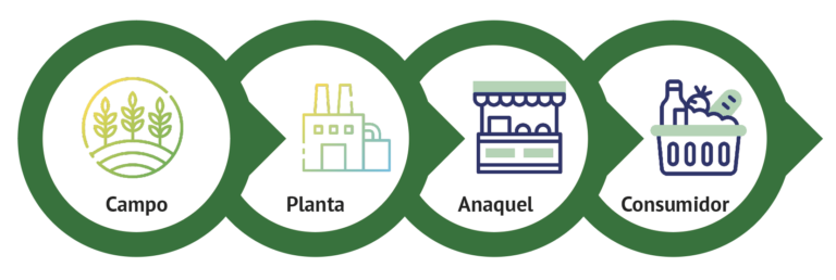 Imgcampo Anaquel 768x258