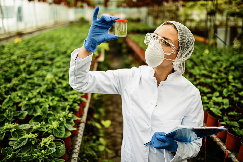 Female Botanist Examining Plant Sample Quality Control Inspection Greenhouse